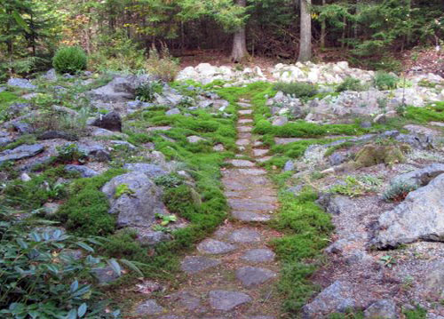 Alpine Rock Garden