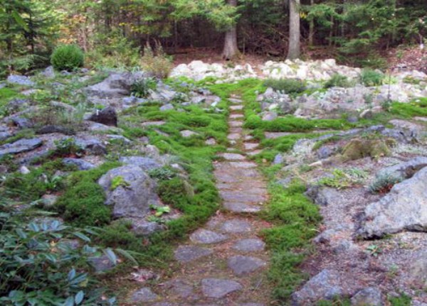 Alpine Rock Garden