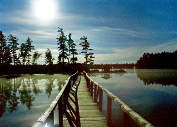 White Pine Camp's Footbridge